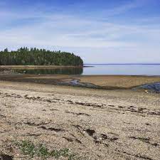 The Art and Science of Tide Pools  with Landere Naisbitt and Kristy Cunnane