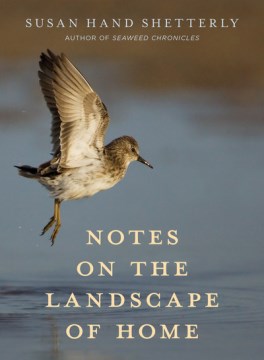 Notes on the Landscape
