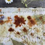Botanical Eco Printing