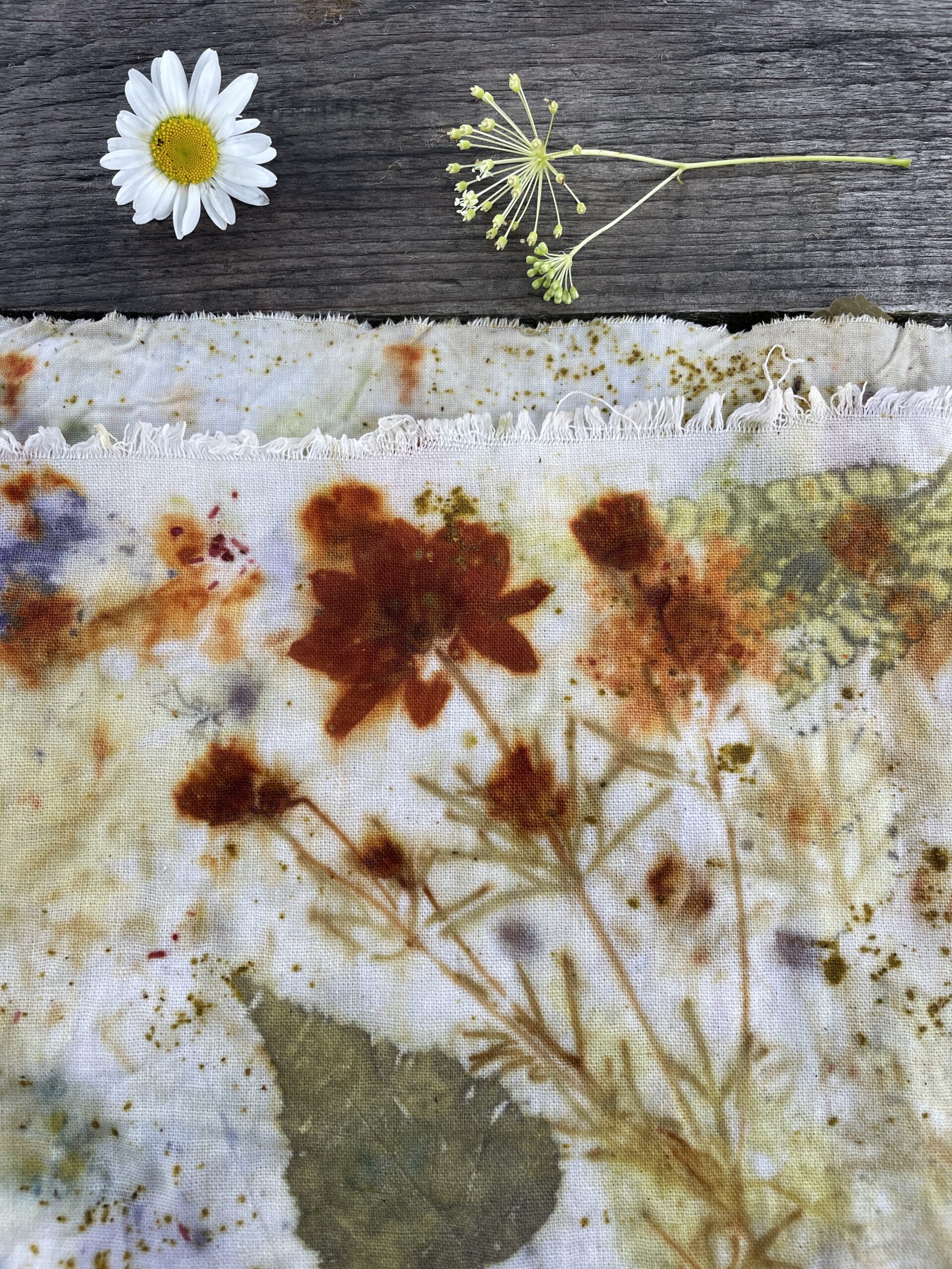 Botanical Eco Printing