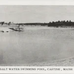 Salt Water Swimming Pool
