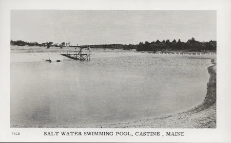 Salt Water Swimming Pool