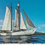 The Schooner Bowdoin