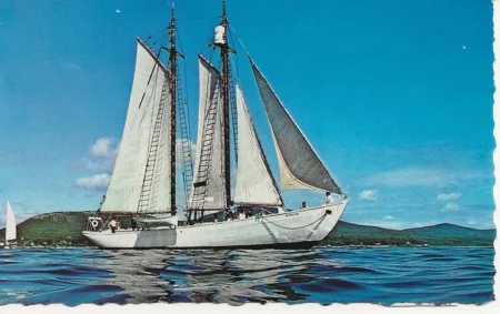 The Schooner Bowdoin