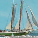 Mattie (Mercantile in background)