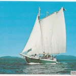 Merchantile
