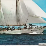 Harvey Gamage
