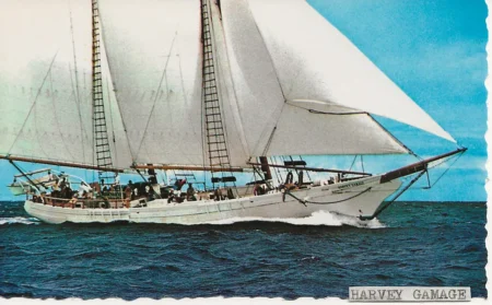 Harvey Gamage