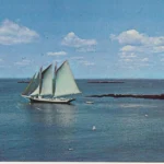 Alice S. Wentworth
