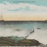 Along the shore