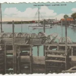 The Shore Front