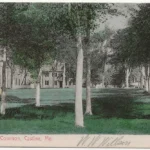 Village COmmon