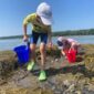 Tide Pools with Blue Hill Heritage Trust and Witherle Library