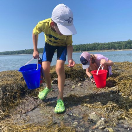 Tide Pools with Blue Hill Heritage Trust and Witherle Library