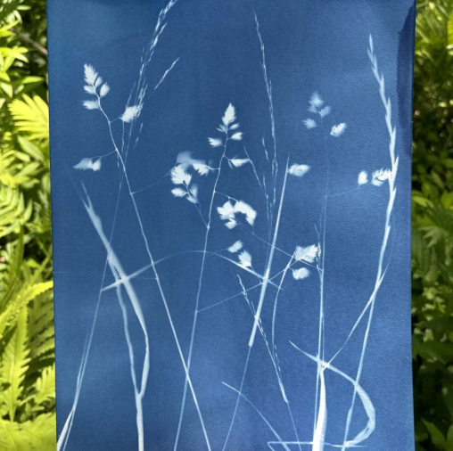 Cyanotype Printing with Katama Murray